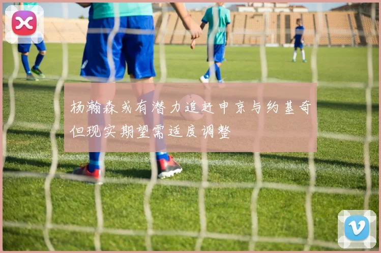 杨瀚森或有潜力追赶申京与约基奇但现实期望需适度调整