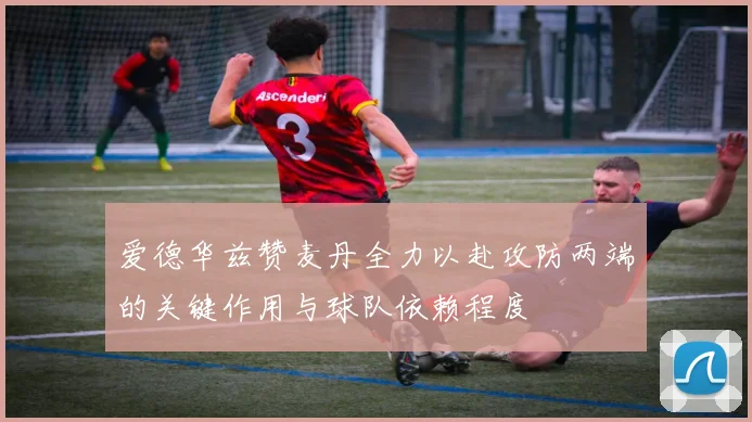爱德华兹赞麦丹全力以赴攻防两端的关键作用与球队依赖程度